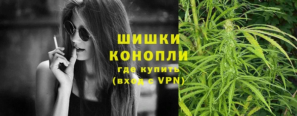 винт Мегион