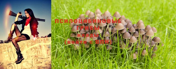 винт Мегион