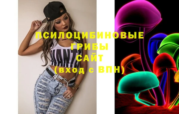 винт Мегион