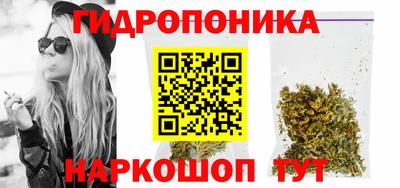 гидропоника Гагарин
