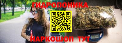гидропоника Гагарин