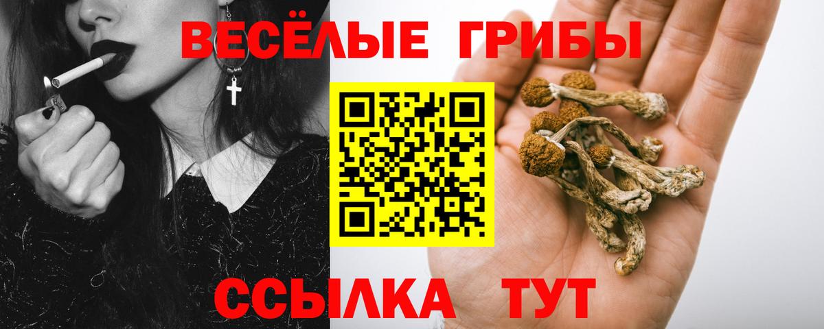 Псилоцибиновые грибы прущие грибы Александров
