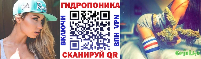 Марихуана OG Kush  купить  сайты  Александров 